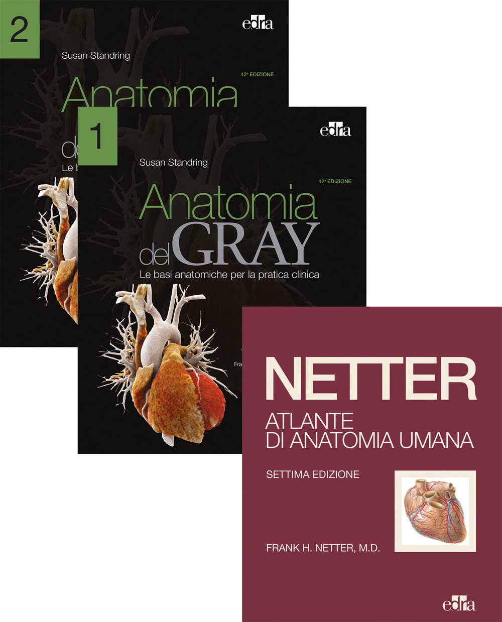 Netter Gray. L'anatomia: Anatomia del Gray-Atlante di anatomia