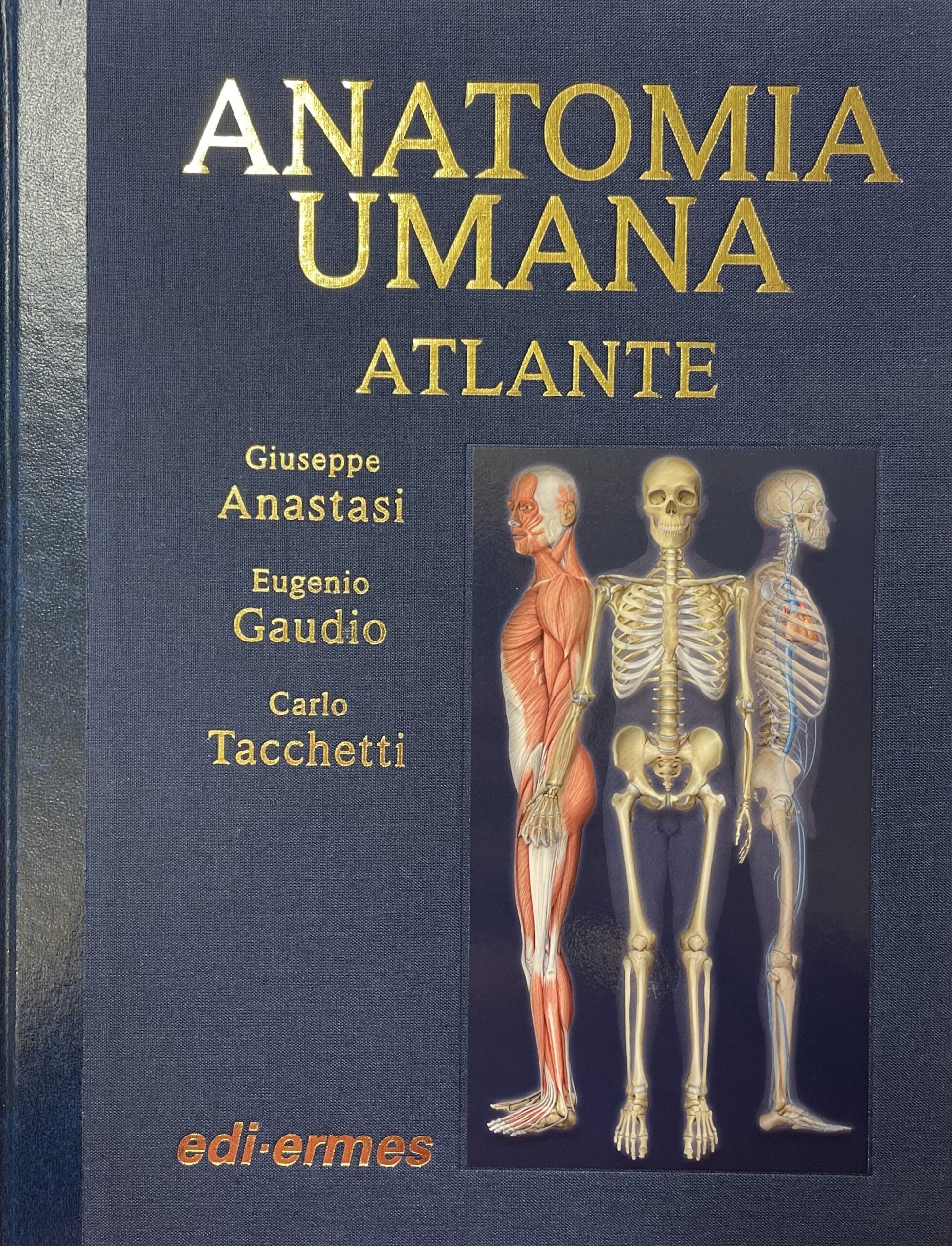 Anatomia Umana. Atlante